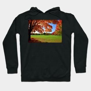 Beautiful October Hoodie